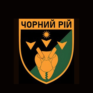 Аватар Телеграм каналу "2 ББпС «Чорний рій»" @chornyriy