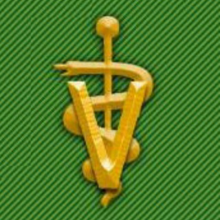VETLEGNEWS - TgScanner