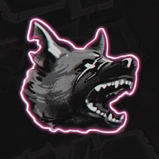 Avatar del canal de Telegram "KorbenDallas" @korbenlive