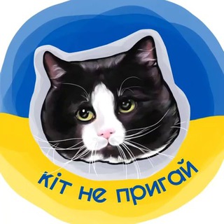 Аватар Телеграм каналу "кіт не пригай" @kitdontjump