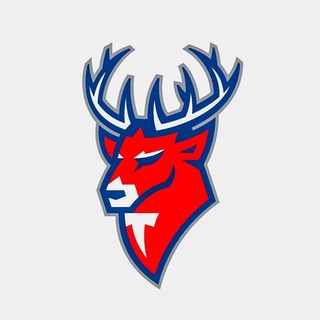 Avatar of Telegram channel "ХК Торпедо" @torpedonn