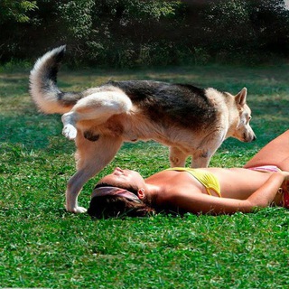 Video Приколы😆🔞 - TgScanner