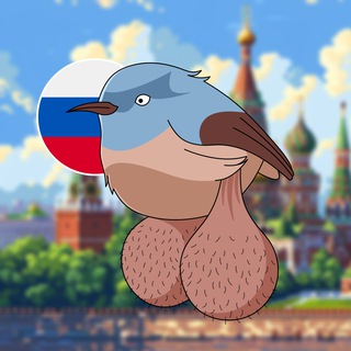 BIG BALLS BIRDS ЧАТ 🇷🇺 - TgScanner