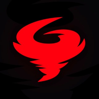 YRGN - TgScanner