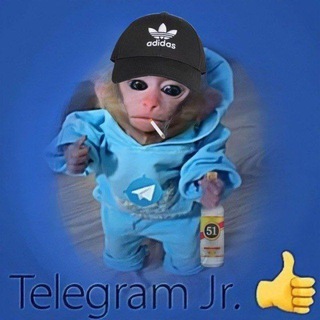 Avatar del canal de Telegram "Shitpost Hue: Definitive Edition" @tel_jr