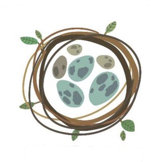 The Nest - TgScanner
