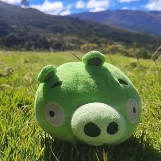 floppya CS2 - TgScanner