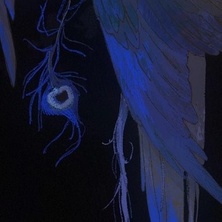 mrnmrn - TgScanner