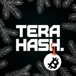 TeraHash - TgScanner
