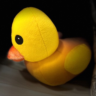 Аватар Телеграм канала "Oh my duck!" @oh_my_duck
