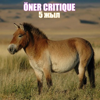 өнер critique - TgScanner