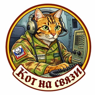 Аватар Телеграм каналу "Кот на связи." @kotsvzst