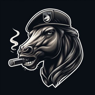 Ares, Information Service - TgScanner