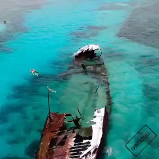 Аватар Телеграм канала "Дайвинг - Погибшие корабли" @spearfishing_diving