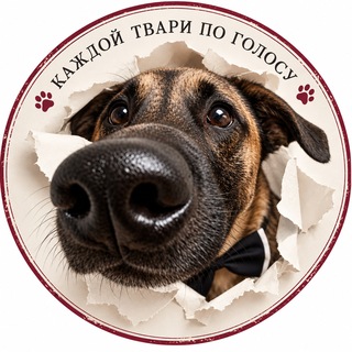 Telegram频道 "Каждой твари по голосу" @the_ones_who_care 的头像