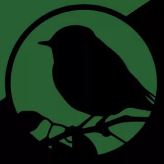 Екологічна Платформа - TgScanner
