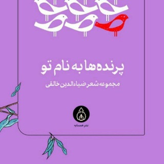 رسانه‌‌فرهنگی ضیاءالدین‌خالقی - TgScanner