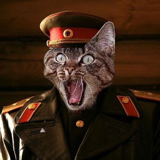 Аватар Телеграм каналу "Кот Генерала" @catgeneral