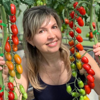 Урожайный огород - TgScanner