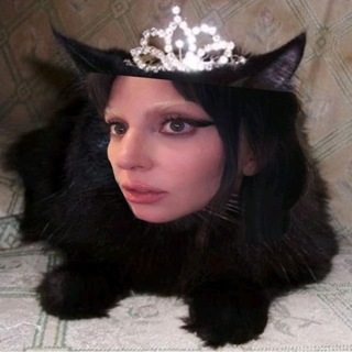 Дом Знаменитостей Chat - TgScanner