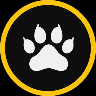 Avatar del canal de Telegram "Cute Cats Gang 🐈‍⬛️ | Entry Area" @cutecatsgang