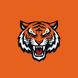 Аватар Телеграм канала "SHADOW TIGERS | Standoff 2" @tigers_so2