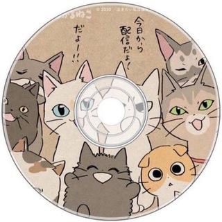 Avatar del canal de Telegram "Диск с котятами 🐾" @cdkit