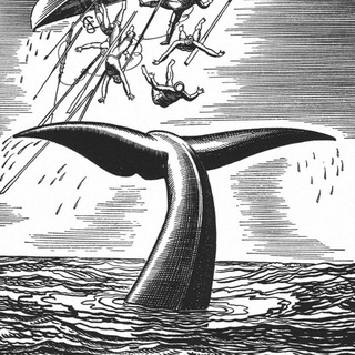 Рыба Лоцман - TgScanner