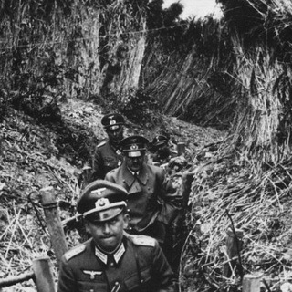 Avatar of Telegram channel "Nothing But Trench" @niksgambles