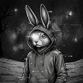 Avatar del canal de Telegram "Gem Chat (Money Bunny)" @gemchatdegen