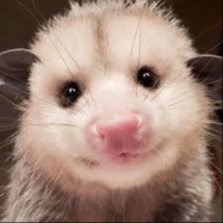 Аватар Телеграм канала "Cute Happy Chat" @cutehappychat