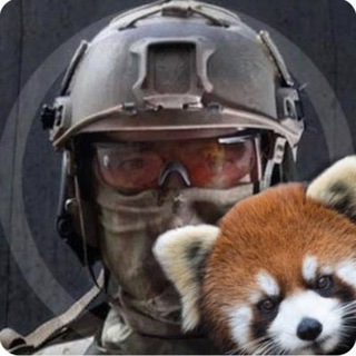 Avatar del canal de Telegram "Vincent Kennedy" @+6e6WUlF8yFM3ZTk0