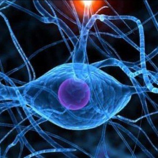 Bio resonantie & magnetische therapie - TgScanner