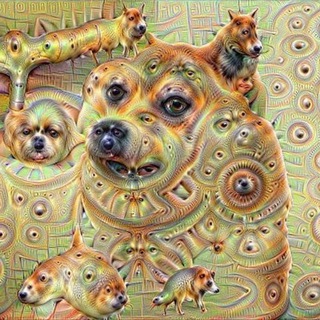 Нейродвиж - TgScanner