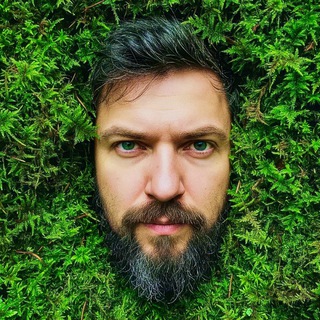 ISA Roman | ИИ41 - TgScanner