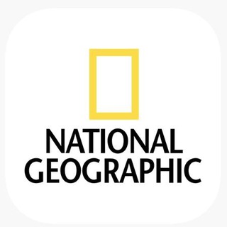 Аватар Телеграм каналу "National Geographic" @nationalgeographicukr