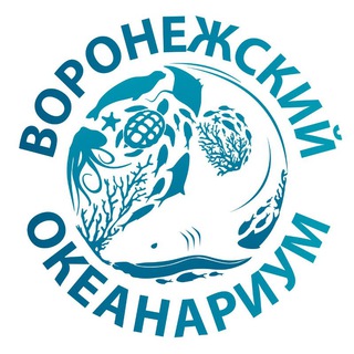 Воронежский океанариум - TgScanner