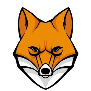 FAKE CONTENT - TgScanner