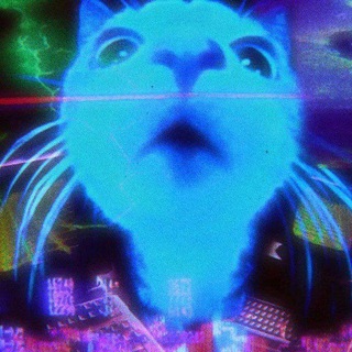 Китиspace - TgScanner