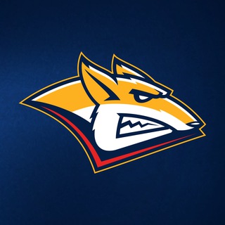 ХК «Металлург» - TgScanner