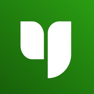 Инфоурок - TgScanner