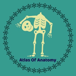 Atlas Of Anatomy | آموزش آناتومی - TgScanner