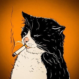 шерстяные проказники • коты - TgScanner