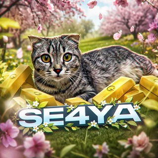 Avatar of Telegram channel "Se4ya | SO2" @se4yaso2