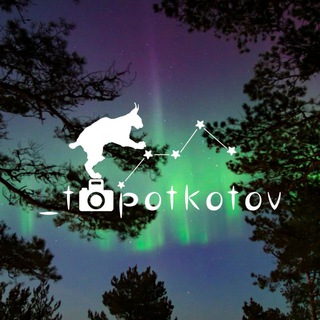 _topotkotov - TgScanner