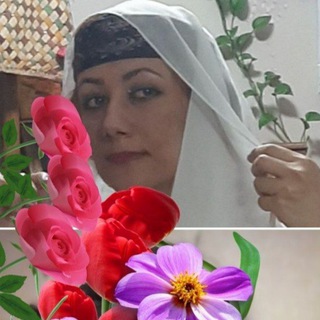 مرضیه حاجی هاشمی - TgScanner