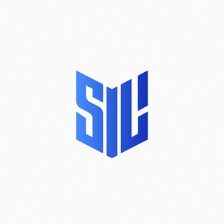 SilVPN • Обход белого списка | Happ | v2RayTun | INCY | Karing 🚀 - TgScanner