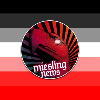 Miesling News - TgScanner