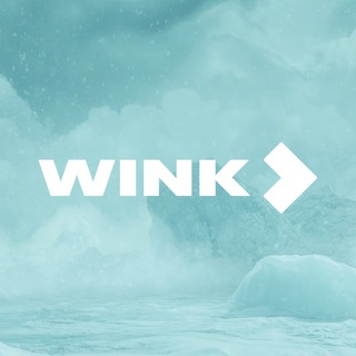 Wink - TgScanner
