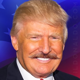 Avatar of Telegram channel "il Donaldo Trumpo" @realdonaldotrumpo